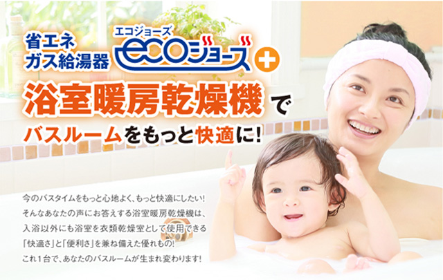 これ1本で、おうちも車もまるごとピカピカ!ホワイトハウスをはじめ世界中で採用!純植物性洗剤「フォーミュラ G-510」