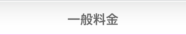 一般料金
