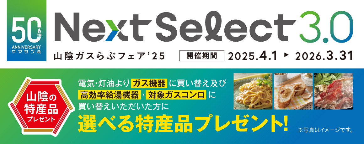 NextSelect3.0